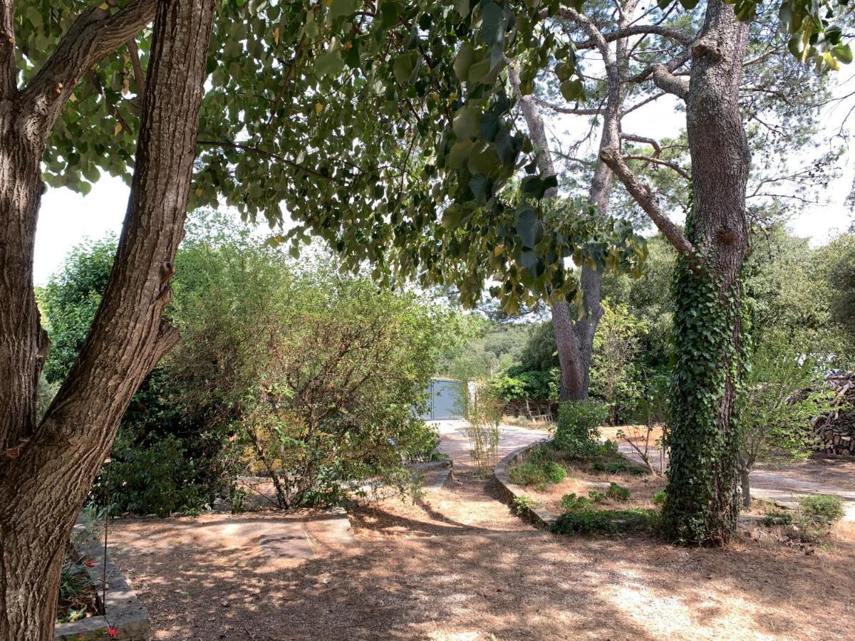 Mazet Proche Golf Villa Nîmes Eksteriør bilde