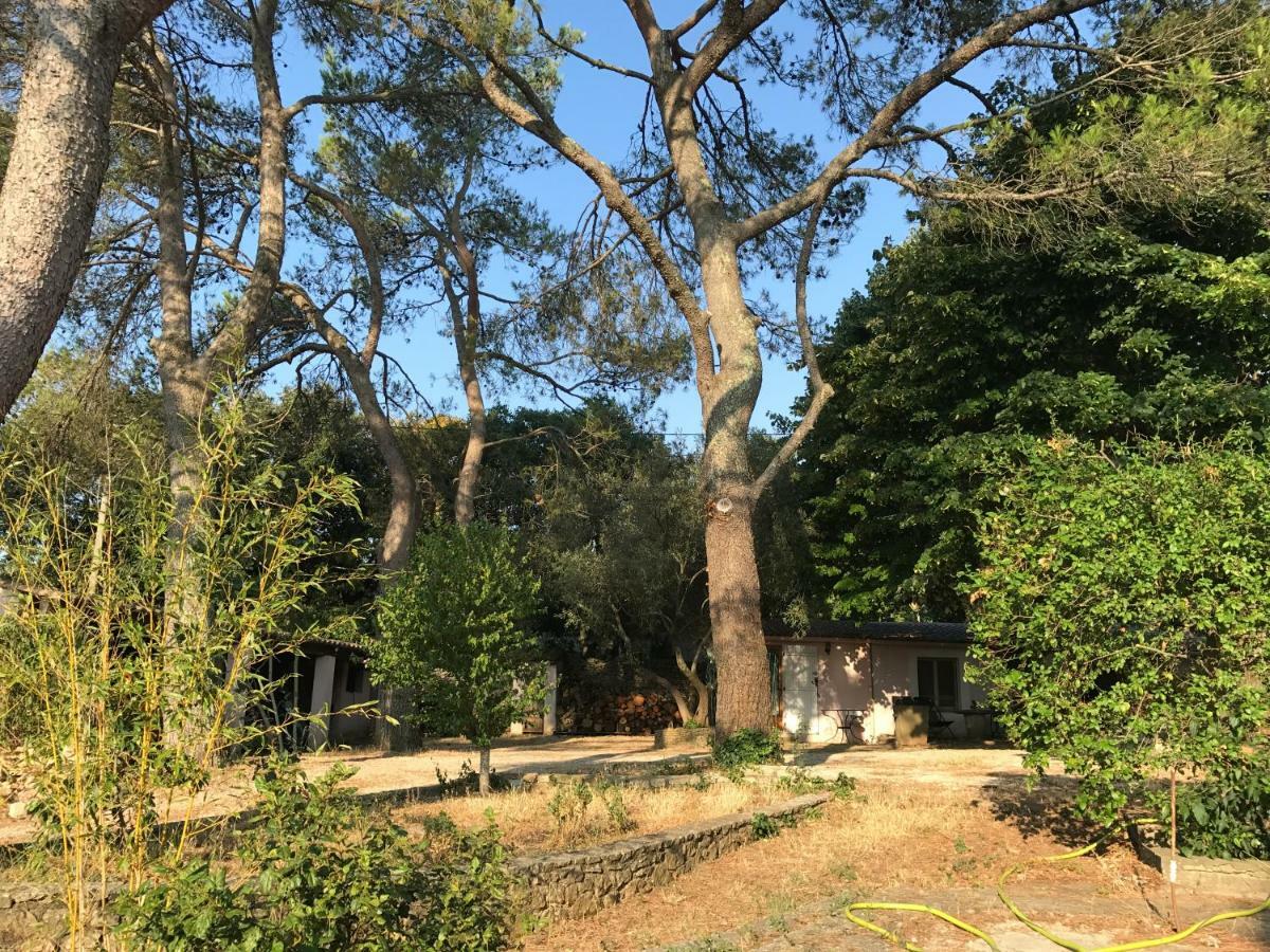 Mazet Proche Golf Villa Nîmes Eksteriør bilde